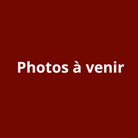 Carré foualrd Hermès Sans Soucy